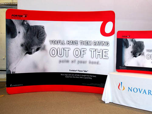 Portable curved soho display